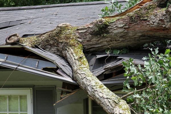 Storm Remediation in Hampton