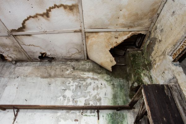 Water Damage Service in Hampton