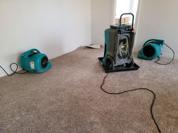 Flood Damage Repair in Hampton
