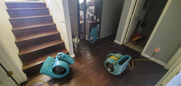 Water Damage Remediation in Hampton