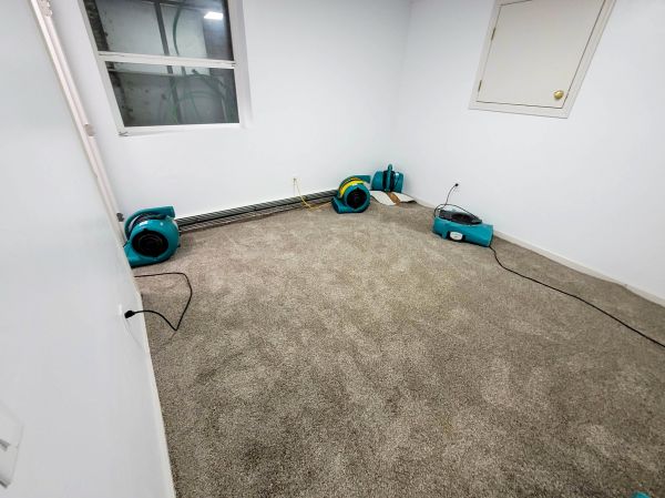 Flood Restoration Service in Hampton